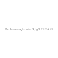 Rat Immunoglobulin G, IgG ELISA Kit